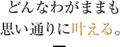 どんなわがままも思い通りに叶える。